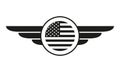 Wings badge with USA flag. Winged American flag template. Air force and aviation emblem. Vector illustration.